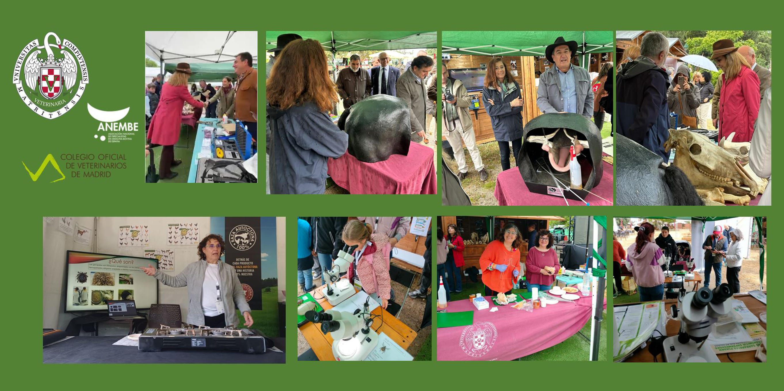 La Facultad de Veterinaria de la UCM participa en SICampo 2026 acercando la profesión veterinaria al público urbano